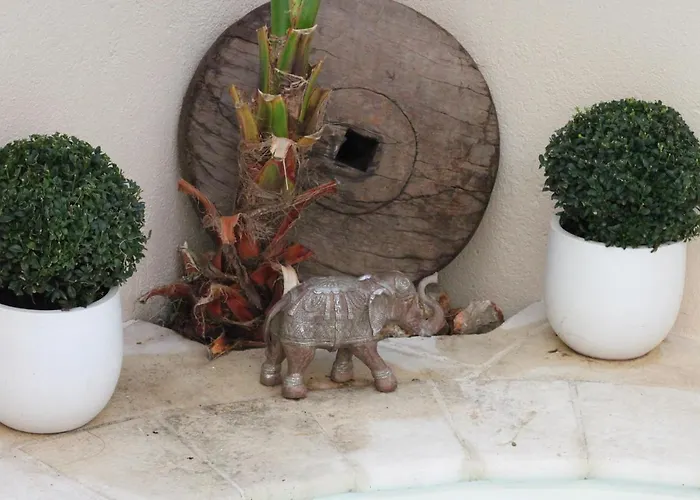 Cocoon In ***** Daire *