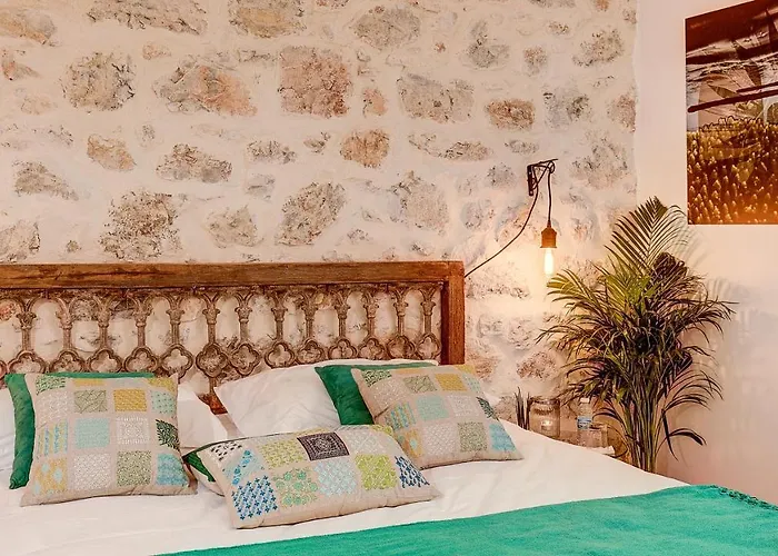 Cocoon In ***** Cannes