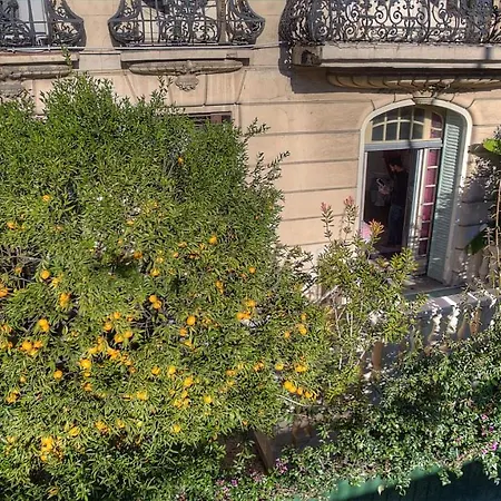 Cocoon In ***** Appartement *