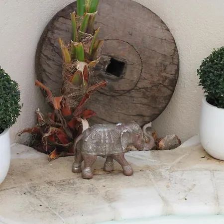 Cocoon In ***** Apartman *