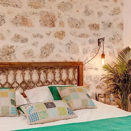 Cocoon In ***** Cannes