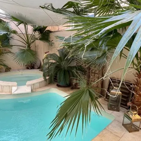 Cocoon In ***** Cannes